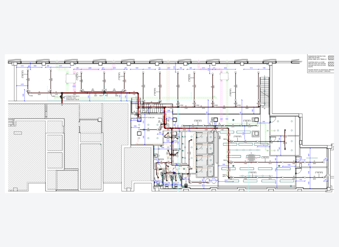 Anytime Fitness Case Study